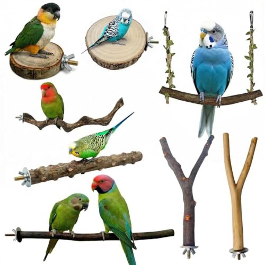 Health & Wellness Rehab - 8 Stück Vogelsitzstangen aus Naturholz für