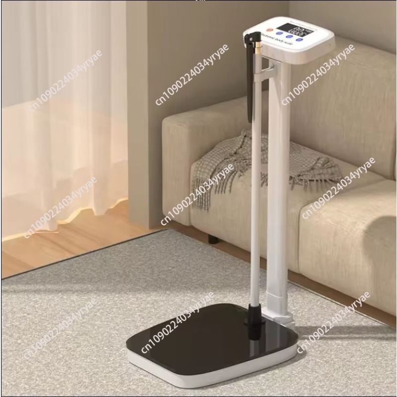 Smarte Körperwaage mit App-Ver – Digital Body Weight Scale Bewertung und Preis