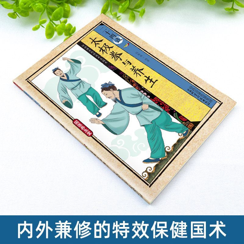24 Stile Tai Chi und Gesundhei – Health & Wellness Japan 2026 Bewertung und Preis
