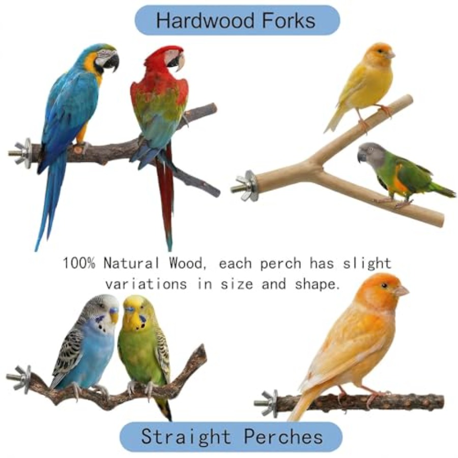 8 Stück Vogelsitzstangen aus N – Health & Wellness Rehab Bewertung und Preis