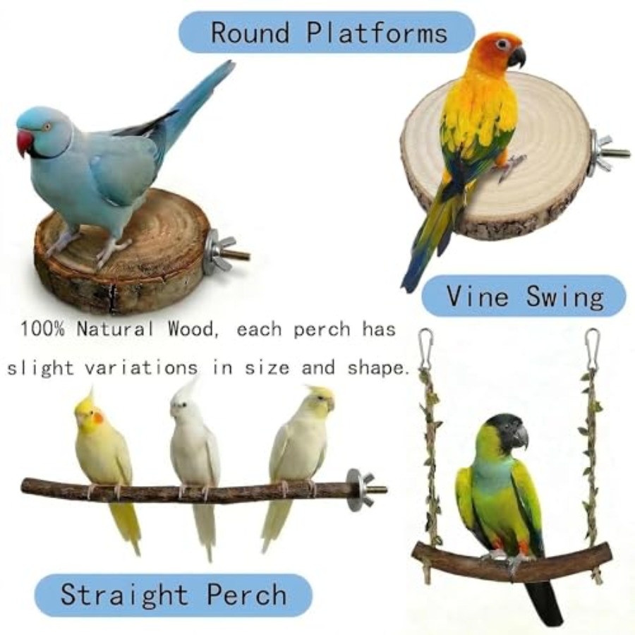 8 Stück Vogelsitzstangen aus N – Health & Wellness Rehab Bewertung und Preis