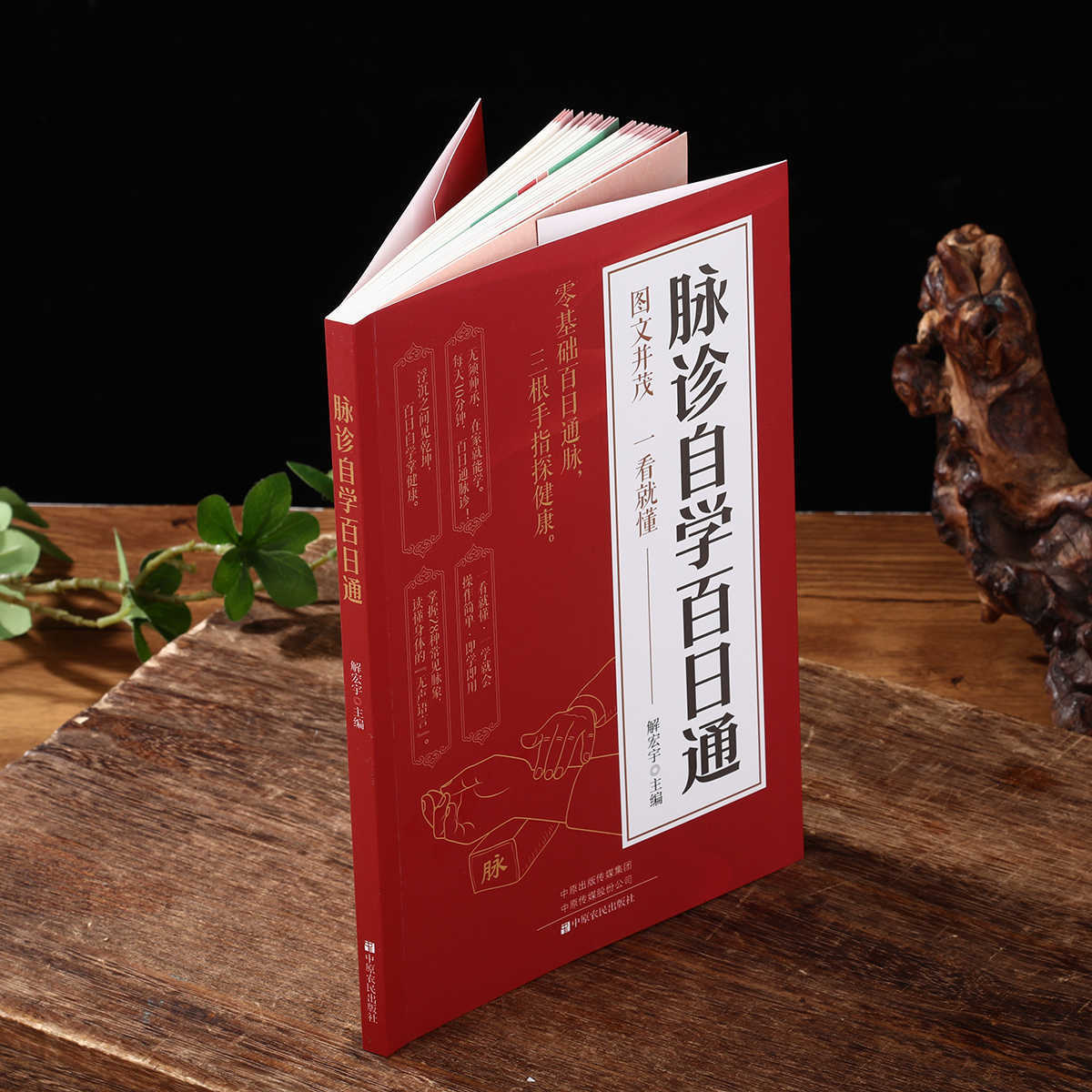 Hundert-Tage-Kurs zur Selbstan – Health & Wellness Japan 2026 Bewertung und Preis
