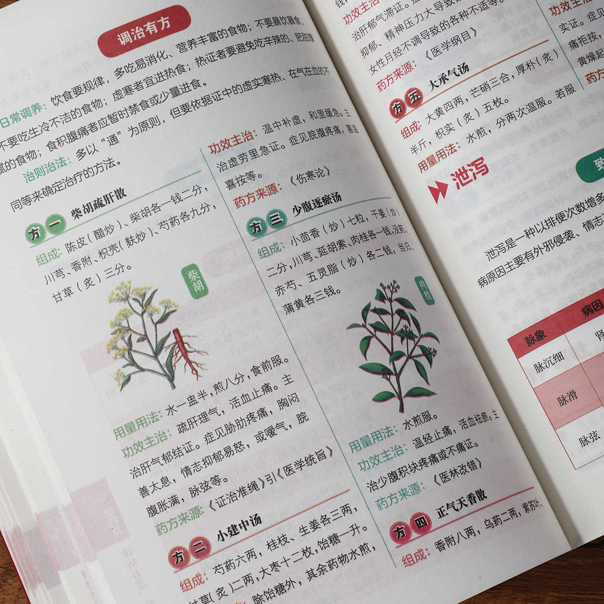 Hundert-Tage-Kurs zur Selbstan – Health & Wellness Japan 2026 Bewertung und Preis